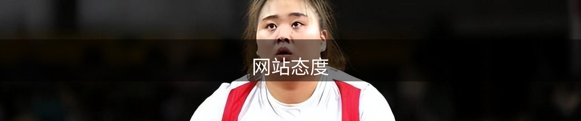 网站态度